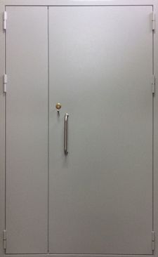 Двупольная дверь с порошковым напылением, электромеханическим замком CISA (DP-132)