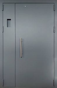 Дверь грунт-эмаль с двух сторон (DV-060)