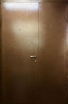 Тамбурная дверь порошковое напыление и ламинат (DP-136)