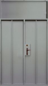 Дверь грунт-эмаль с двух сторон (DV-068)