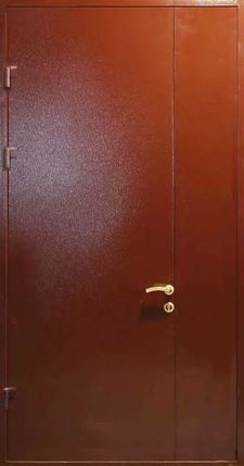 Тамбурная дверь порошковое напыление с двух сторон (DP-139)