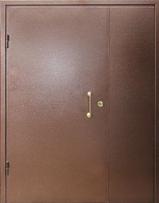 Тамбурная дверь порошковое напыление с двух сторон (DP-142)