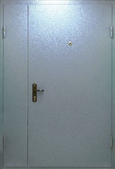 Тамбурная дверь порошковое напыление с двух сторон (DP-141)