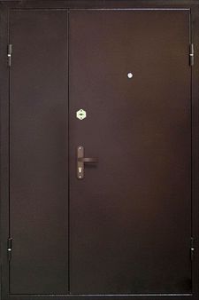 Двустворчатая дверь с порошковым напылением и МДФ ПВХ (DP-005)