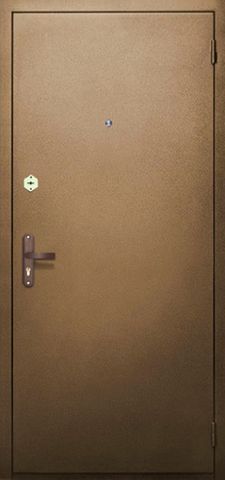 Одностворчатая дверь с порошковым напылением и МДФ шпон (DP-004)