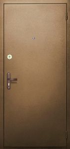 Одностворчатая дверь (порошок + МДФ шпон) (DP-004)
