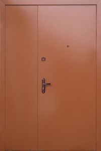 Дверь грунт-эмаль с двух сторон (DV-074)