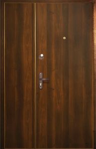 Двустворчатая дверь (порошок + МДФ шпон) (DP-003)