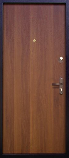 Одностворчатая дверь (порошок + ламинат)