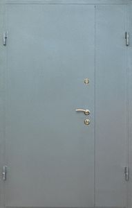 Дверь грунт-эмаль с двух сторон (DV-071)