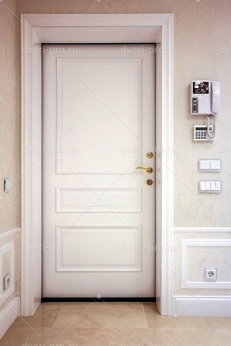Primery Dverej S Otdelkoj Filenchatymi Panelyami