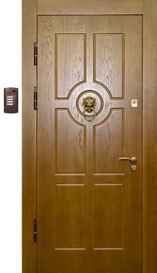 Дверь МДФ шпон с двух сторон с видеонаблюдением (DM-103)