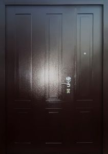 Дверь порошковое напыление с двух сторон (DP-097)