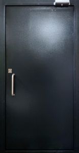 Дверь порошковое напыление с двух сторон (DP-124)