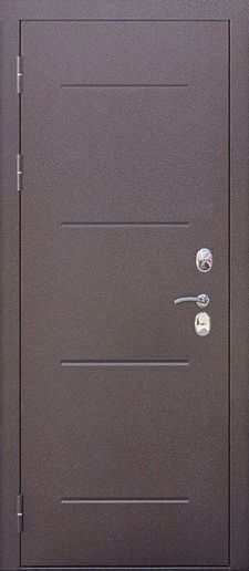 Входная дверь порошковое напыление и МДФ шпон (DP-071)