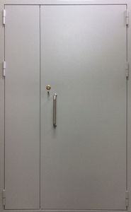 Дверь порошковое напыление с двух сторон (DP-132)