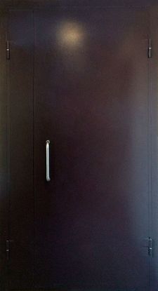 Тамбурная дверь порошковое напыление с двух сторон (DP-131)