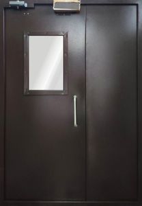 Дверь порошковое напыление с двух сторон (DP-128)