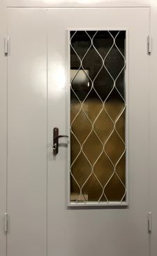 Тамбурная дверь порошковое напыление с двух сторон (DP-154)