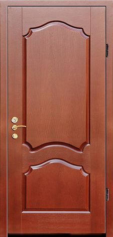 Металлическая дверь МДФ шпон (DM-016)