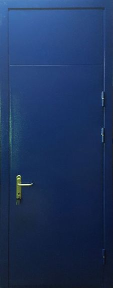 Металлическая дверь с порошковым напылением и фрамугой (DP-001)