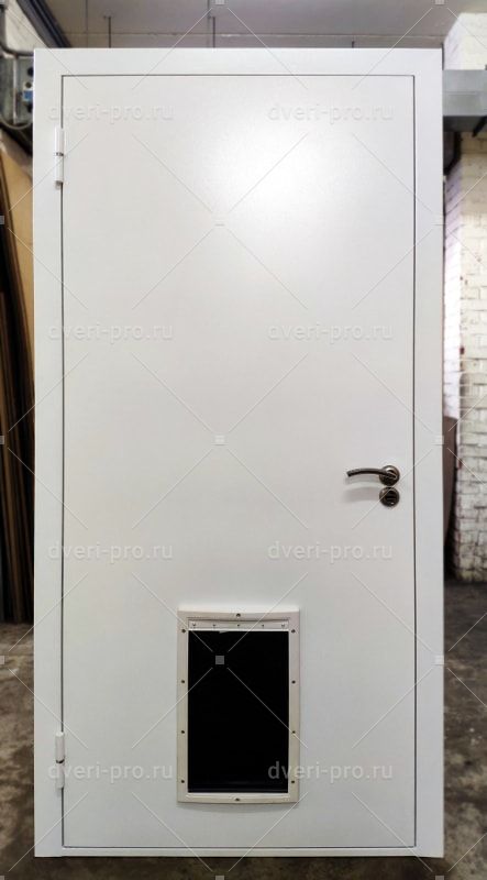 Foto Dverej S Okoshkom Dlya Zhivotnyh