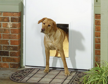 petdoor-lg.png