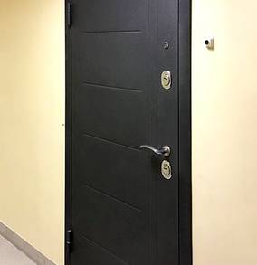 Порошковая дверь с рисунком
