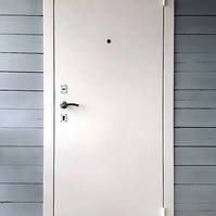 Порошковая дверь в частном доме