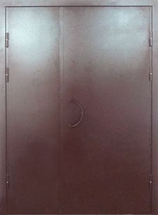 Тамбурная дверь порошковое напыление с двух сторон (DP-144)