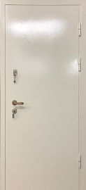 Дверь DP-166