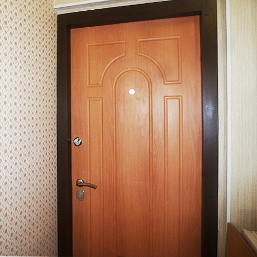 Дверь с панелями МДФ Vinorit
